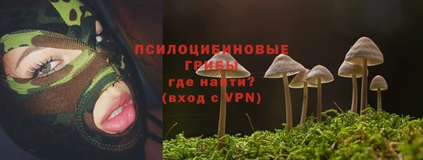 первитин Гусь-Хрустальный