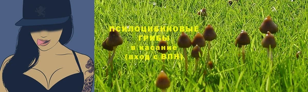 первитин Гусь-Хрустальный