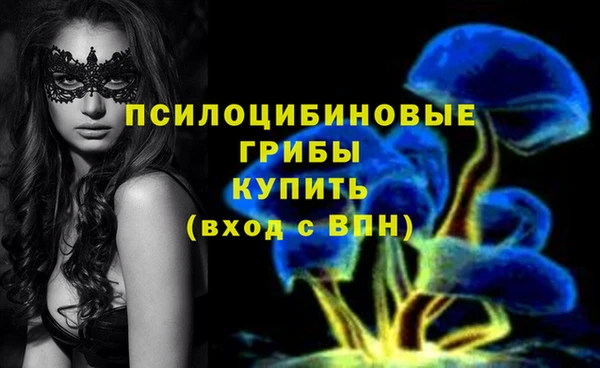 альфа пвп Гусев