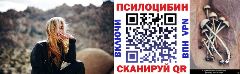 Галлюциногенные грибы Magic Shrooms  Купить где  Мышкин 
